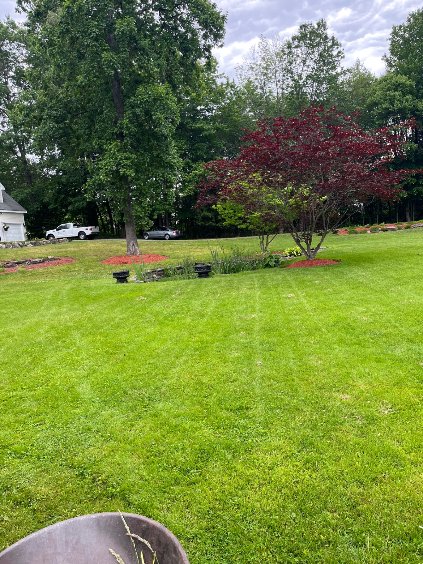 Professionally mowed Massachusetts lawn with crisp stripes
